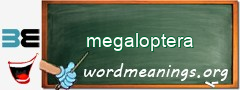 WordMeaning blackboard for megaloptera